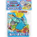 【10個セット】 水ぬりえ 海のいきもの図鑑 1セット