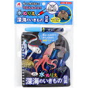 【10個セット】 水ぬりえ 深海のいきもの図鑑 1セット