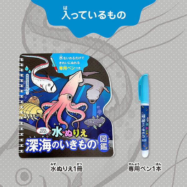 ��10�ĥ��åȡ� ��̤ꤨ �����Τ�����ο޴� 1���å�