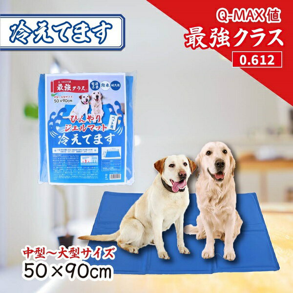 ��10�ĥ��åȡ� �Ҥ��ꥸ����ޥå� �䤨�Ƥޤ� �ڥå��� 50��90cm 1����