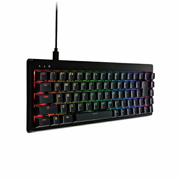 【正規代理店】 エレコム TK-VK300SBK ゲーミングキーボード 【V custom】 有線 着脱式ケーブル RGB メカニカル ( 銀軸 / スピードリニア ) 日本語配列 テンキーレス USB Aポート×1 ブラック