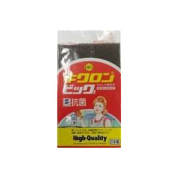 【10個セット】 キクロンA ビッグ キクロン たわし・ふきん