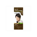 【36個セット】 ルシード ワンプッシュケアカラー ナチュラルブラウン 医薬部外品 マンダム ヘアカラー 白髪染め 無香料 男性 男性用 白髪用 ワンプッシュ ヘアケア 白髪染めヘアカラー