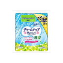 【10個セット】 チャームナップ吸水さらフィパンティライナー消臭タイプ68枚 生理用品