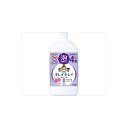 【10個セット】 キレイキレイ 薬用泡ハンドソープ 詰替用特大サイズ フローラルソープ ハンドソープ 特大サイズ 詰め替え用 詰め替え 洗面 手洗い ハンドケア ライオン 泡出るタイプ 泡ハンドソープ 詰替特大 スキンケア 詰替 フローラル 詰め替え特大(4)