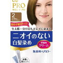 【4個セット】 サロンドプロ無香料ヘアカラー早染めクリーム 白髪用 2 より明るいライトブ ヘアカラー・白髪用