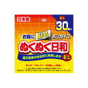 【20個セット】 ホッカイロ ぬくぬく日和 貼るミニ30個 興和 カイロ 貼るミニ 使い捨てカイロ 温熱用品 興和新薬 貼る 貼るタイプ 寒さ対策