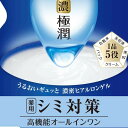 【5個セット】 肌ラボ 極潤美白パーフェクトゲル つめかえ用 ロート製薬 化粧品 詰め替え用 詰め替え パーフェクトゲル 正規品 乳液 美白 ジェル 濃密 コスメ オールインワンジェル オールインワン トラネキサム酸 保湿剤 パーフェクト スキンケア 美容