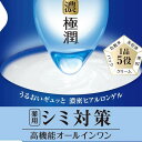 【10個セット】 肌ラボ 極潤美白パーフェクトゲル つめかえ用 ロート製薬 化粧品