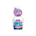 【24個セット】 パーシャルデント洗浄フォーム 小林製薬 入れ歯用