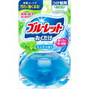 【48個セット】 液体ブルーレットおくだけつけ替用 ミントの香り 小林製薬 芳香剤・タンク タンク 汚れ落とし 液体ブルーレット 詰め替え 泡洗浄 臭い取り ト...