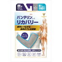 【30個セット】 バンテリンコーワリカバリー アームスリーブ アッシュ...(4)