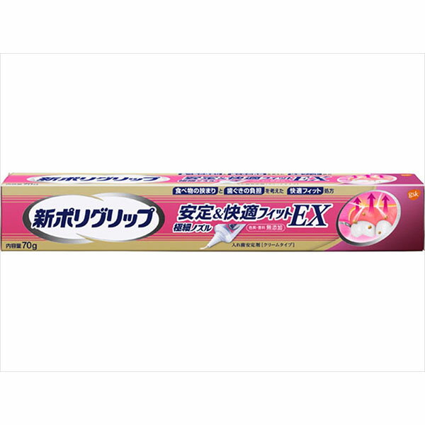 【48個セット】 新ポリグリップ 安定&快適フィットEX 70g グラクソスミスクライン 入れ歯用