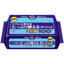 【3個セット】 日本製紙クレシア アクティトイレに流せるおしりふき100枚