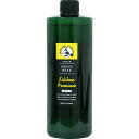 【10個セット】 緑の魔女キッチンプレミアム480ml(3)