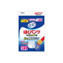 【10個セット】 リフレはくパンツゆったり安心おでかけパックS2枚 リブドゥコーポレーション 大人用オムツ