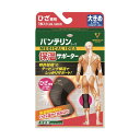 【30個セット】 バンテリンコーワ 保温サポーターひざ専用大きめサイズ 興和 サポーター