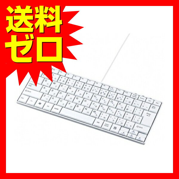 サンワサプライ USBスリムキーボード SKB-SL18WN 送料無料