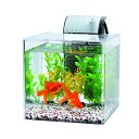 スペクトラムブランズジャパン テトラ Tetra 静かな金魚飼育セット SF-17GF 水槽アクアリウム シーフード 熱帯魚・観賞魚 アダルト スペクトラム 水...