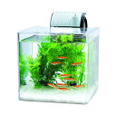スペクトラムブランズジャパン テトラ Tetra プラスチック 静かなメダカ飼育セット SF-17KF 水槽アクアリウム メダカ 熱帯魚・観賞魚 全年齢 スペク...