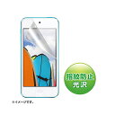 サンワサプライ 第5世代iPodtouch用液晶保護指紋防止光沢フィルム PDA-FIPK41FP 送料無料