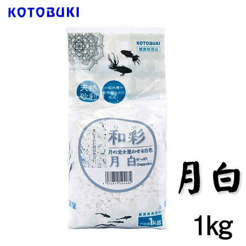 ●本体サイズ (幅X奥行X高さ) :9.5×7×21cm●本体重量:1.2kg●月の光を思わせる白色。大粒で扱いやすく、小型水槽や金魚鉢に濁りが取れるまで水洗いしてから使用してください。水槽内では洗わないでください。本品を水槽に敷く際は、水槽に負担をかけないよう慎重に入れてください。・ペットの種類：熱帯魚・観賞魚・製造元リファレンス：290677・メーカーにより製造中止になりました：いいえ・ペットの成長段階：すべてのライフステージ・アレルギー表示：アレルギーフリー・商品の数量：3・電池使用：いいえ・電池付属：いいえ