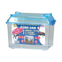 三晃商会 クリーンケース M W 305 × D 195 H 232(mm) 昆虫 スズムシ プラケース 158 サンコー SANKO 昆虫用品 カブトムシ 子...