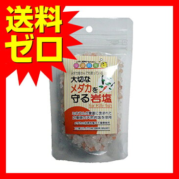 大切なメダカを守る岩塩100グラム (株)ソネケミファ ※商品は1点(個)の価格になります。 1000円ポッキリ ポイント2倍 送料無料