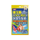 【6個セット】 イトスイ コメット ニオイ汚れを少なくする金魚のえさ 金魚の主食納豆菌中粒 90g シーフード 全品種 全年齢 顆粒 金魚のえさ 金魚用フード ...