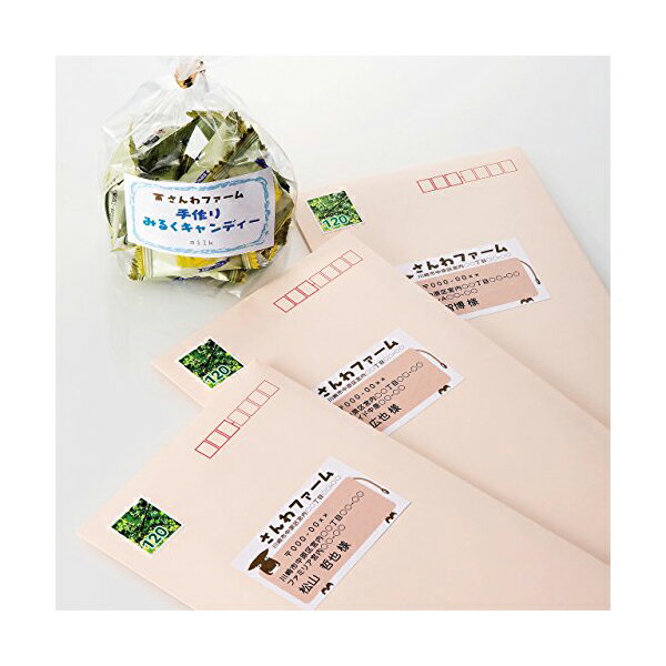 サンワサプライ マルチラベル (18面) LB-EM13N 送料無料