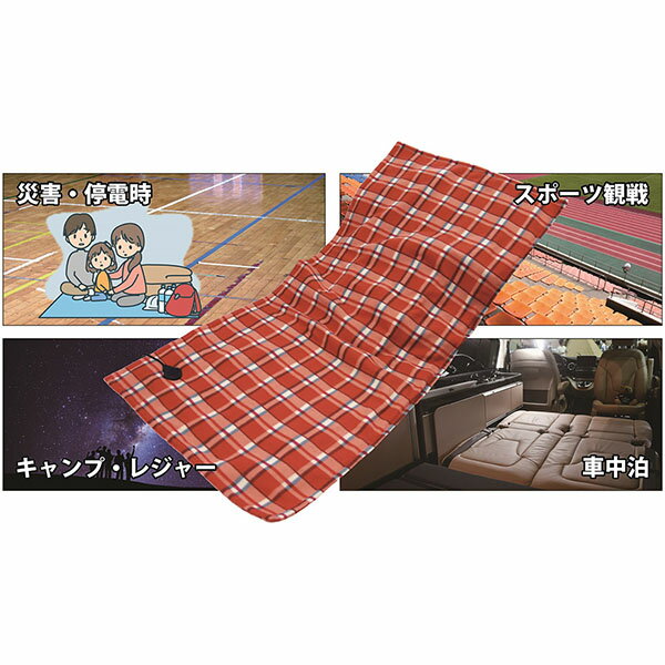 �ٻ��� FDM-50W DC�ŵ����� �ɺ��к� ��å� �ŵ� ������������ �����ȥɥ� �ɿ� ���� ������ �������� �ɺ� �Ķ��������� ���ݡ��Ĵ��� �쥸�㡼 �ŵ����� �Ͽ�