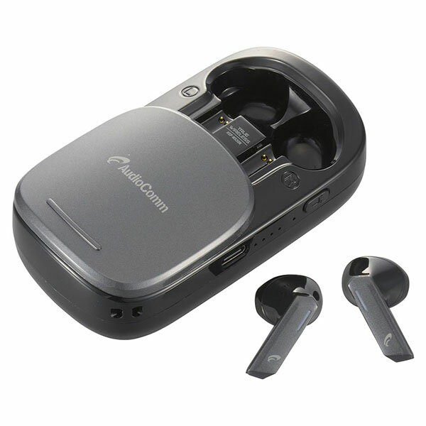 オーム電機 HSP-W530N 完全ワイヤレスイヤホン+充電ケース兼用ワイヤレススピーカー (Bluetooth/ブラック) スピーカー ヘッドセット 通話 充電式 ワイヤレスイヤホン ワイヤレススピーカー ブラック 軽量 音楽 無線 イヤホンマイク