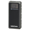 オーム電機 RAD-P255N ライターサイズラジオ (本体30g/AM、FMステレオ、ワイドFM/イヤホン専用/単4形×2本使用) 通勤ラジオ メモリー登録 ポケットラジオ ブラック デジタル ラジオ オーム 携帯ラジオ イヤホン専用 イヤホン付き ライターラジオ 小型
