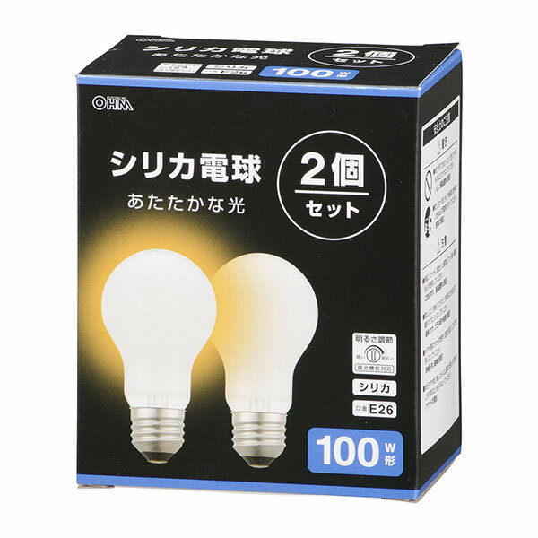 ŵ LB-D6695W-2PN Ǯŵ (100W/ꥫ/1520 lm/95W/E26/ŵ忧/Ĵǽб/2) Ǯ...