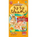 【2個セット】 マルカン うさうさぴゅーれにんじん 10g×5本 うさぎ・ハムスター・モルモットなど の小動物 ML-189 W110xD20xH210 MARUKAN ウサギ用フード うさうさぴゅーれ 小動物用品 ペットフード 毛玉ケア ハムスター ペット用品 安心素材