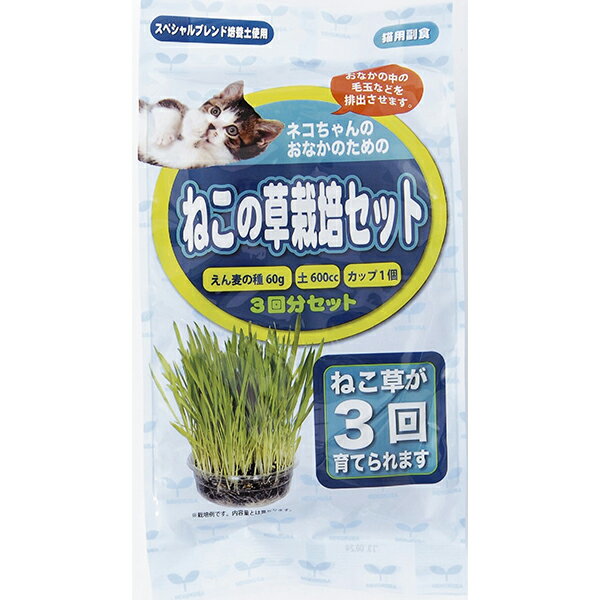 【3個セット】 アラタ ねこ草栽培セット3回分