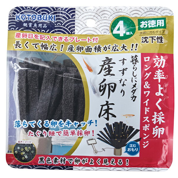 ������ ��餷�˥���������ʤ��������� ����4������ ��ǯ�� ���ȥ֥� kotobuki ���ȥ֥����� �������� ���� ���� ������ ����� ��餷�˥��...