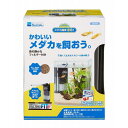 水作 リトルアクアリウム メダカ飼育 基本6点セット 全年齢 suisaku 飼育セット 水槽 メダカ 室内 安心素材 価格は1個のお値段です