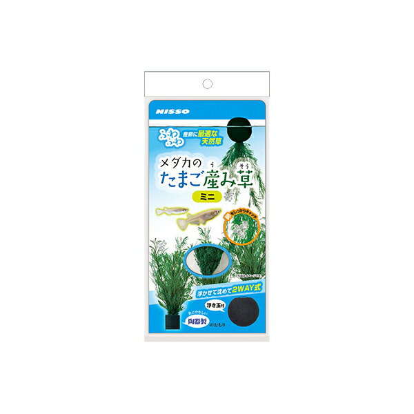 ●産卵に最適な天然水草・色：グリーン・ブランド：株式会社 マルカンニッソー事業部●浮き玉を取り付けて浮かせたり、沈めて水槽内を手軽に飾れる2WAY式の天然水水草です。天然シダのやわらかさがメダカの卵を産み付けるのに最適です。魚に安心な陶器製のおもりを使用しています。本品はアクアリウム用品です。目的以外の用途では使用しないでください。・商品モデル番号：NAP-589・ペットの成長段階：全年齢・フレーバー：シーフード, 卵・アレルギー表示：アレルギーフリー・色：グリーン・商品の数量：3・特殊な用途：アクアリウム・電池使用：いいえ