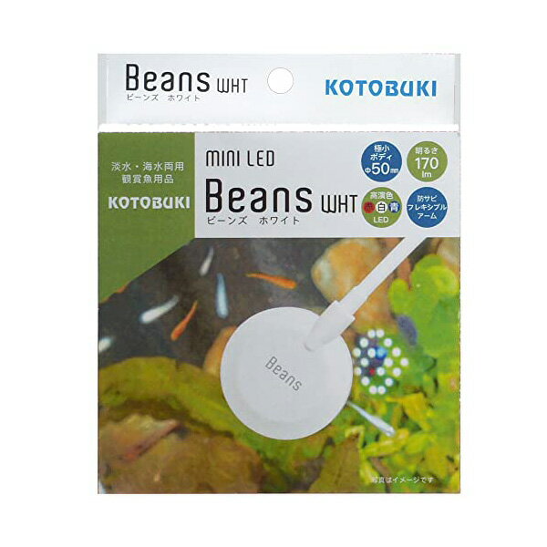 寿工芸 ミニ LED ビーンズホワイト 熱帯魚・観賞魚 全年齢 コトブキ kotobuki コトブキ工芸 小型水槽用 アクアリウム テラリウム ホワイト ライト 水槽 ビーンズ ペット 照明 安心素材 価格は1個のお値段です