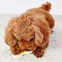 ペティオ 犬用おもちゃ かんでるボーンデンタル Mハード 厚切りベーコンフレーバー 小型犬 日本製 Petio W26840 ハードタイプ かんでるボーン かんでる ペット用品 ハード デンタル 小型犬用 デンタル系 国産 ドッグ グッズ 犬用玩具 安心素材 価格は1個のお値段です