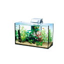 【3個セット】 スペクトラムブランズジャパン テトラ Tetra ガラス 水槽 オールグラスアクアリウム GA-420F 水槽熱帯魚メダカ金魚 熱帯魚・観賞魚 ...