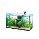 【3個セット】 スペクトラムブランズジャパン テトラ Tetra 水槽 オールグラスアクアリウム GA-520F 水槽アクアリウム 熱帯魚 メダカ 金魚 熱帯魚...