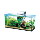 【3個セット】 スペクトラムブランズジャパン テトラ Tetra ガラス 水槽 オールグラスアクアリウム GA-600F 水槽アクアリウム 熱帯魚 メダカ 金魚...