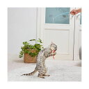 【3個セット】 ペティオ 猫用おもちゃ けりぐるみ de じゃらし ミニエビ 全猫種 Petio W27189 猫じゃらし 全年齢 ペット 玩具 安心素材