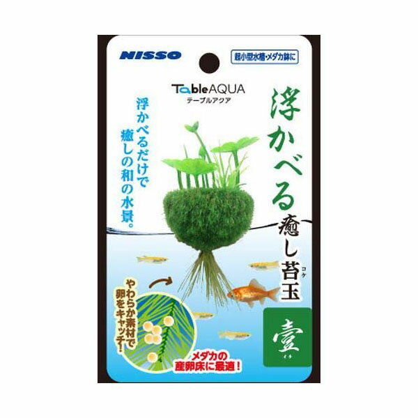 株式会社マルカン（ニッソー） NAP‐573テーブルアクア浮かべる癒し苔玉壹（イチ）