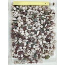 【10個セット】 ペットライブラリー aquaneru 本五色石 2kg