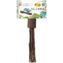 【6個セット】 マルカン バードパレス りんご小枝束