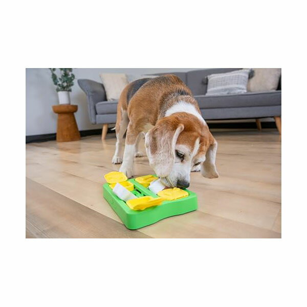 ��3�ĥ��åȡ� ���åɥ������ڥå� �ȥ꡼�ĥ�����֥�å��ߥ�