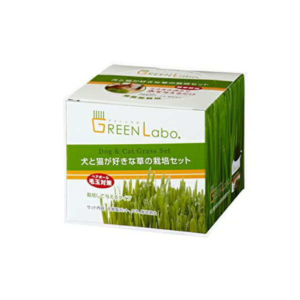 【12個セット】 エイムクリエイツ 犬と猫が好きな草の栽培セット